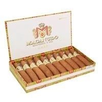 Macanudo Cafe Cigars - Diplomat - 41/2 X 38/60/44 - cigar13