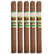 Aj Fernandez New World Cameroon (7" x 48)
