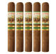 Aj Fernandez New World Cameroon (6" x 60)