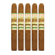 Aj Fernandez New World Cameroon (6" x 50)