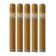 Nica Rustica Shade (6" x 50)