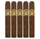 Oliva Master Blends 3 Cigars (5" x 50)