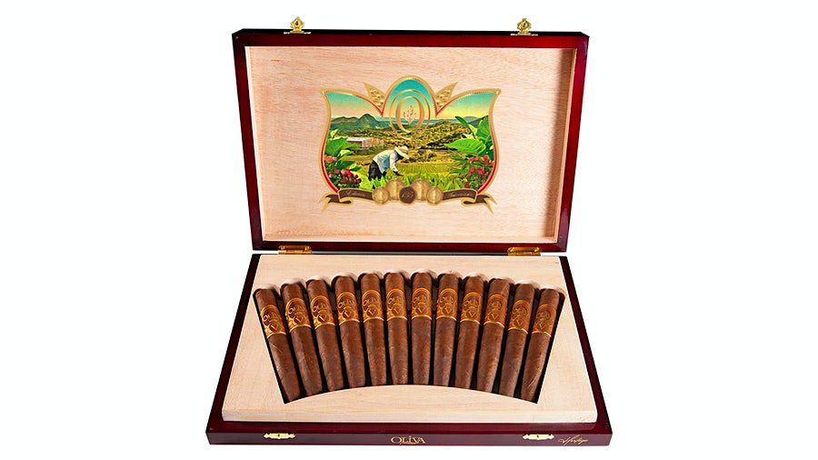 Oliva Serie V 135th Aniversario