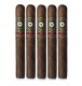 Perdomo 20Th Anniversary Maduro Cigars (7" x 56)