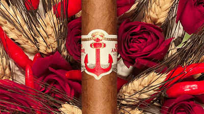 Red Anchor Cigars - Commodore - 7x55