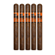 Romeo 505 Nicaragua Cigars (7" x 50)