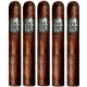 Room 101 The Big Payback Maduro (6" x 54)