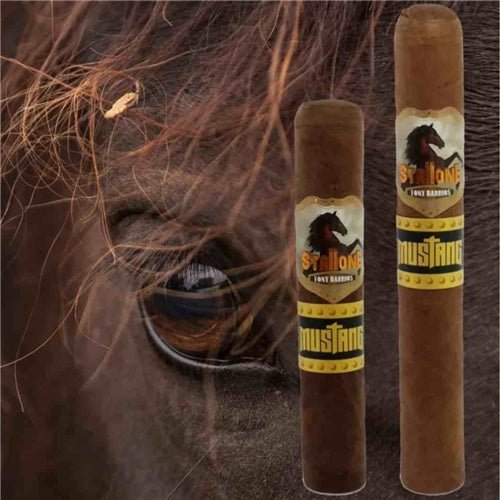 Stallone Mustang Cigars - Short Toro - 5.5 X 50 - cigar13