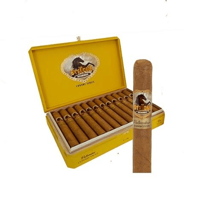 Stallone Palomino Connecticut Cigars - Robusto - 5x52 - cigar13