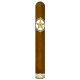Stillwell Star Holiday Y2024 (6