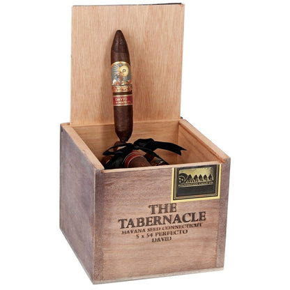 Tabernacle Havana Seed Cigars - David (Perfecto) - 5x54