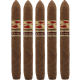 Tatuaje Avion 13 Corojo (6.875" x 52)