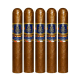 Trinidad Espiritu Series 1 Cigars (60" x 6)